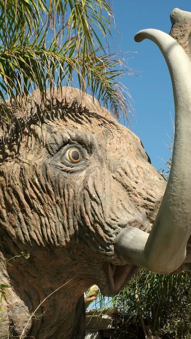 Mamut Beach Club - Photo 2