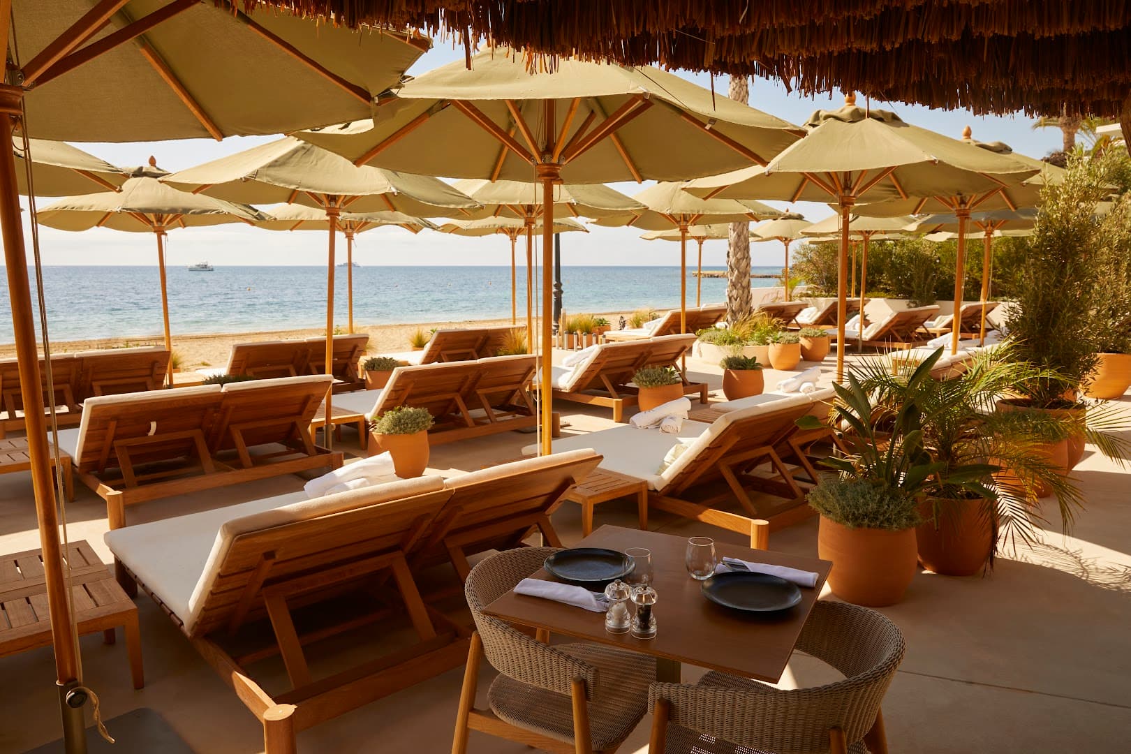 Yellow Fish Beach Club - Photo 3