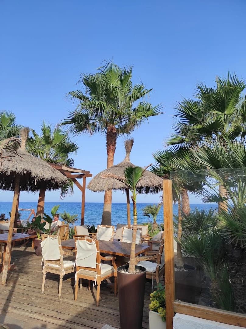 Alma Beach Club - Photo 5