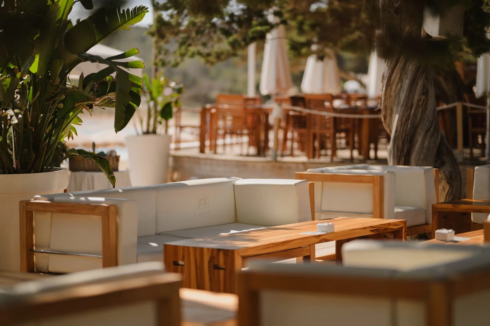 Cala Bassa beach Club