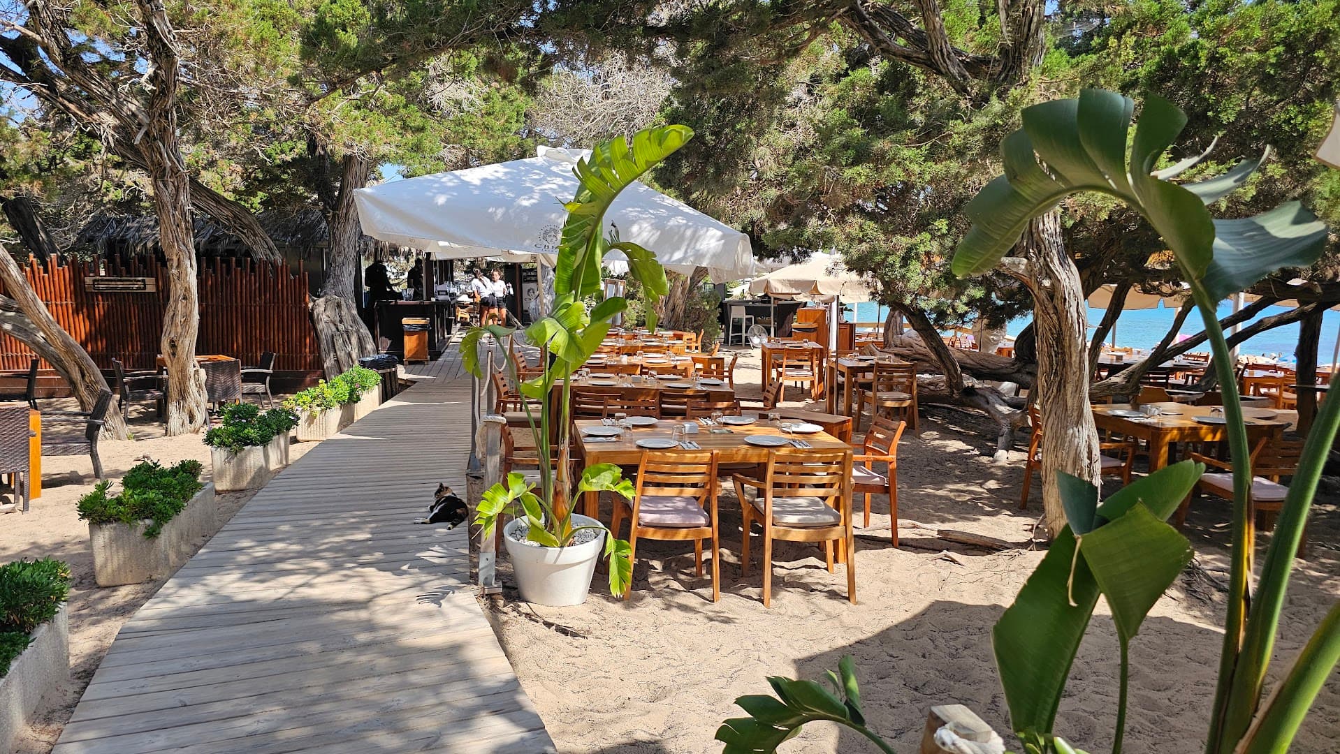 Cala Bassa beach Club - Photo 5