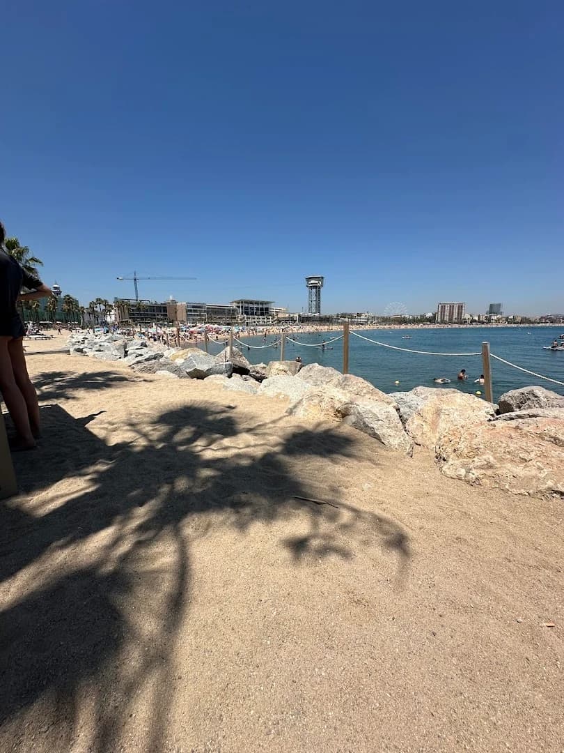 SALT Restaurant & Beach Club - Photo 5