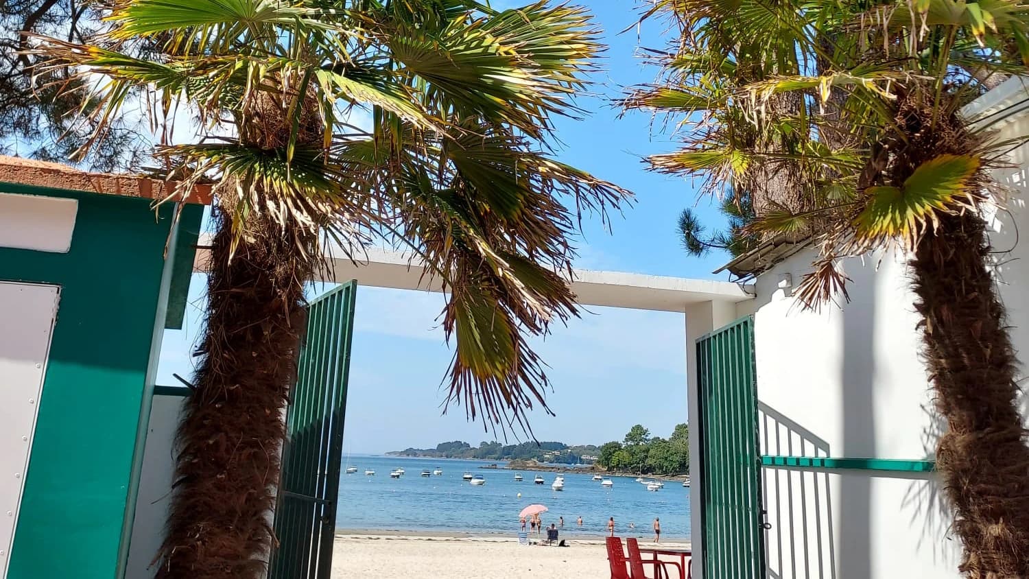 Koa Beach Club - Photo 4