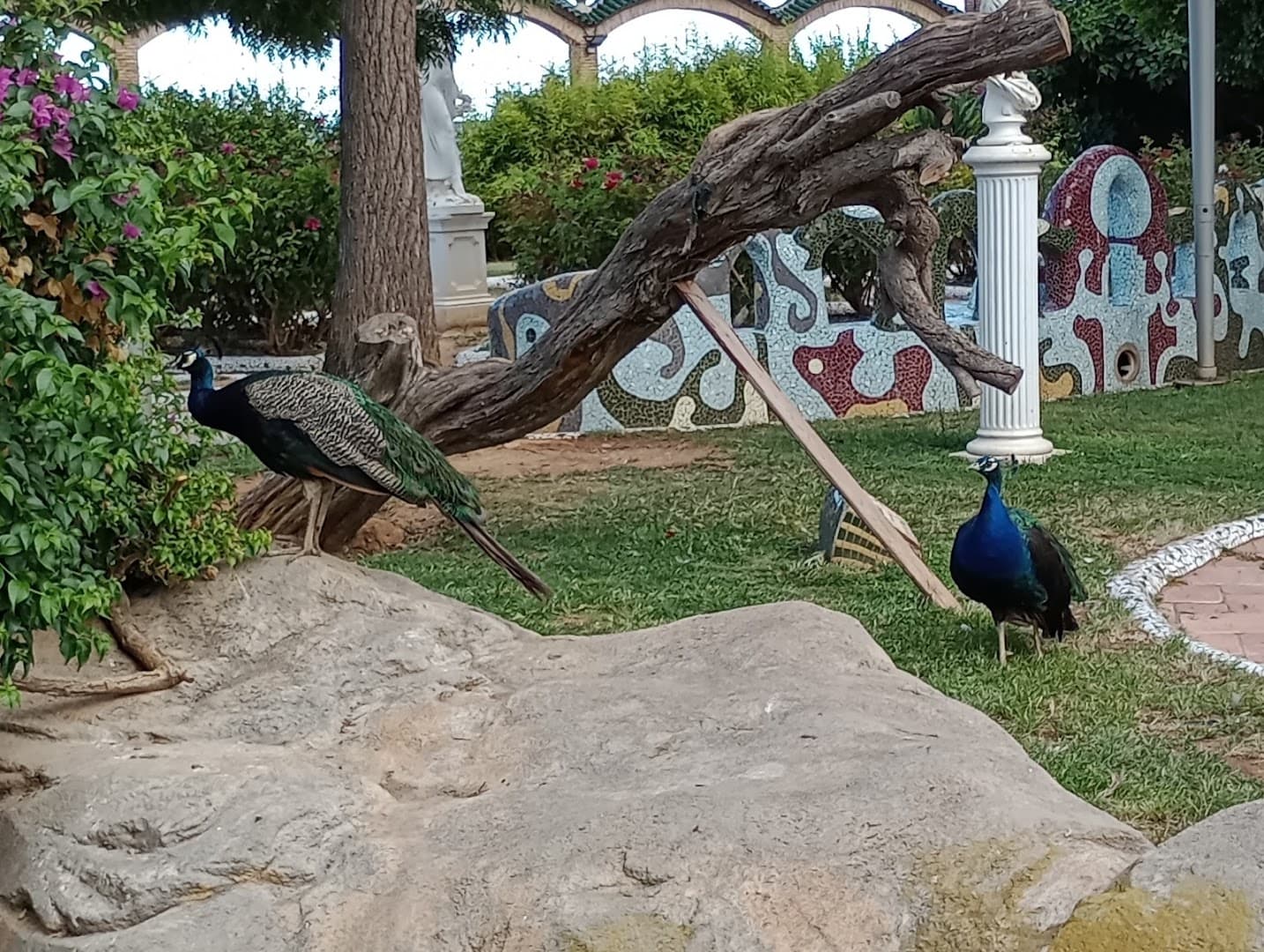 Aloha Beach Club Magic World Resort - Photo 5