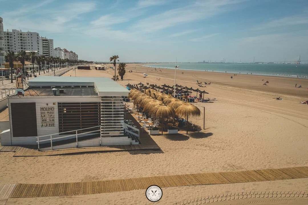 Las Olas Beach Club - Photo 4