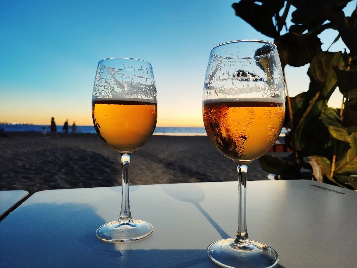 Rest Beach Club - Photo 4