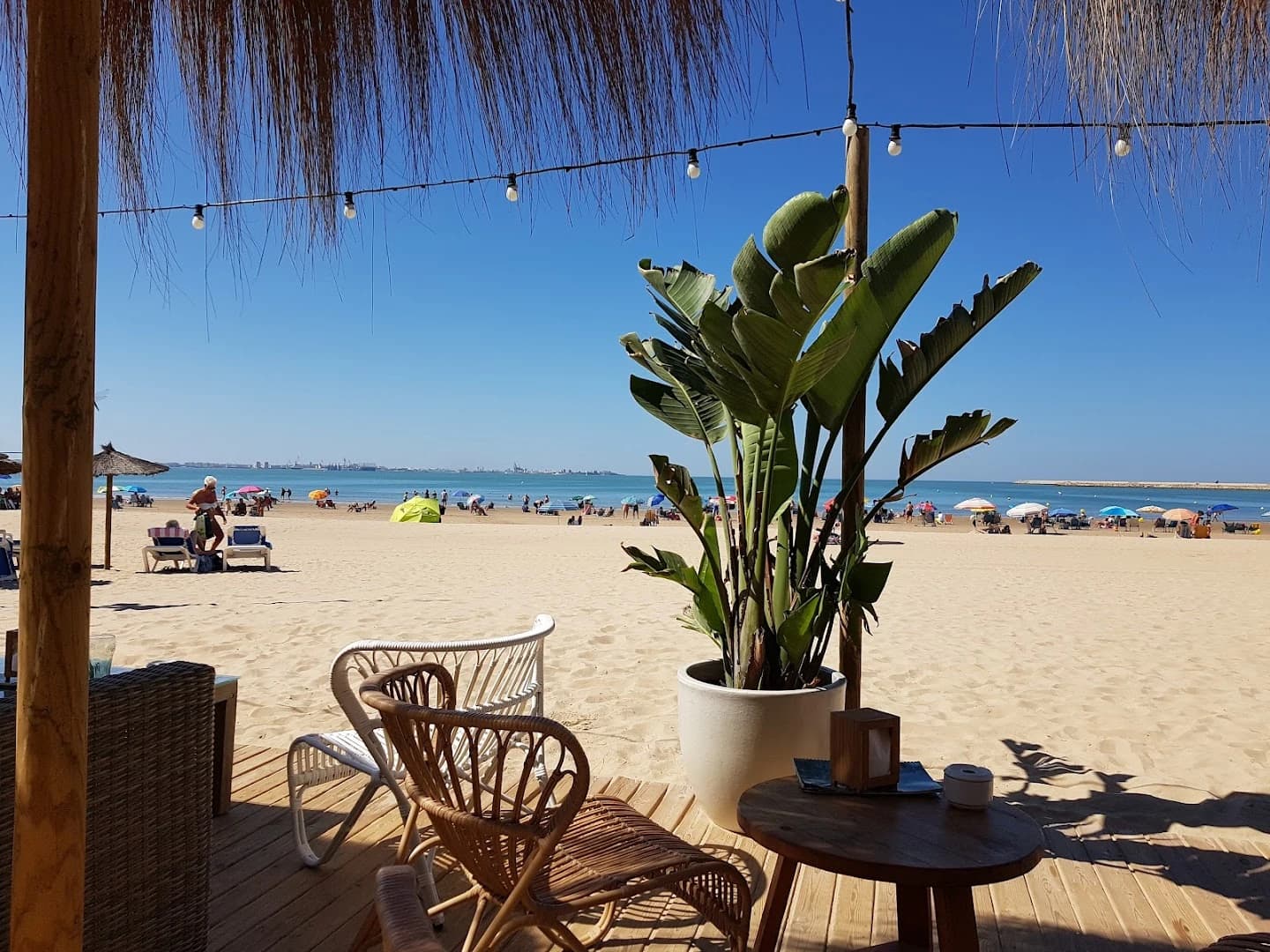 Rest Beach Club - Photo 5