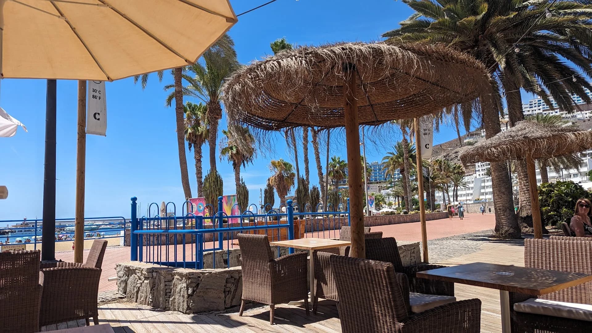 Chester Beach Club - Photo 5