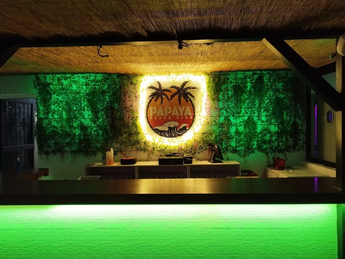 Papaya Beach Club - Photo 5