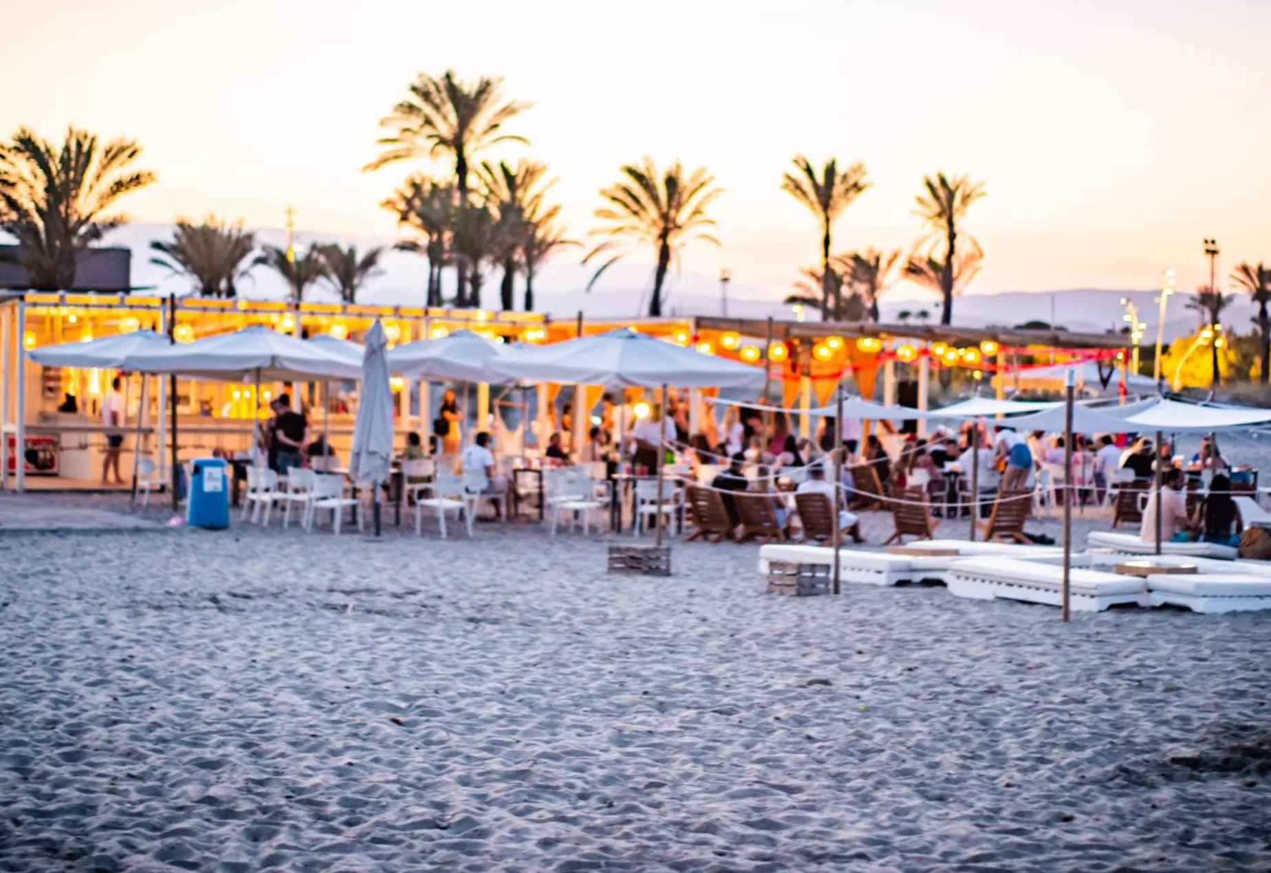 Dharma Beach Club - Photo 2