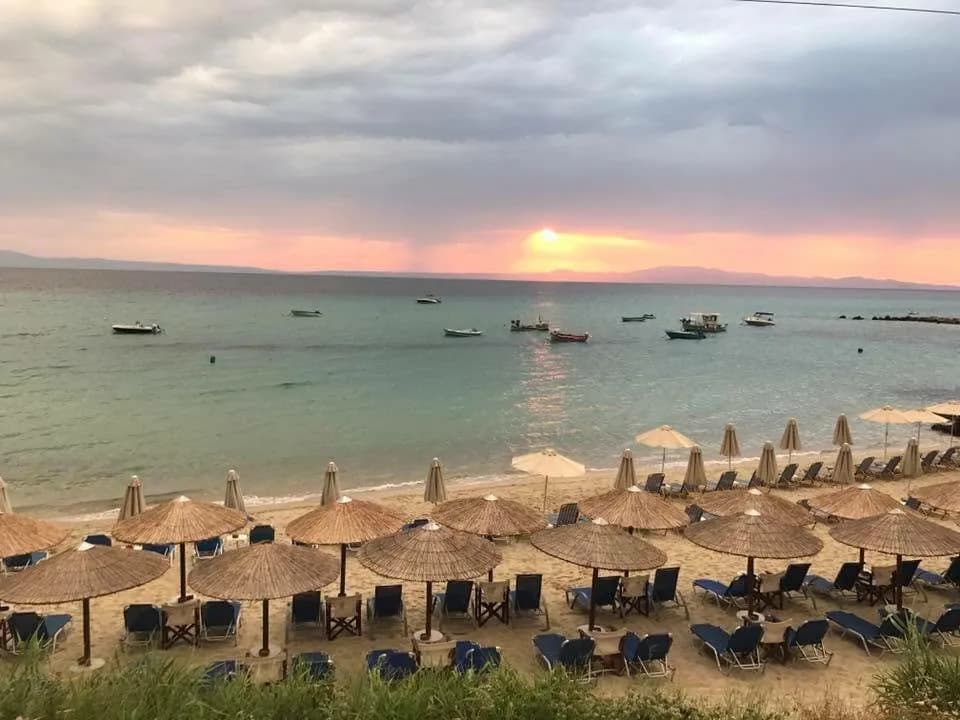 Beach clubs in Halkidiki