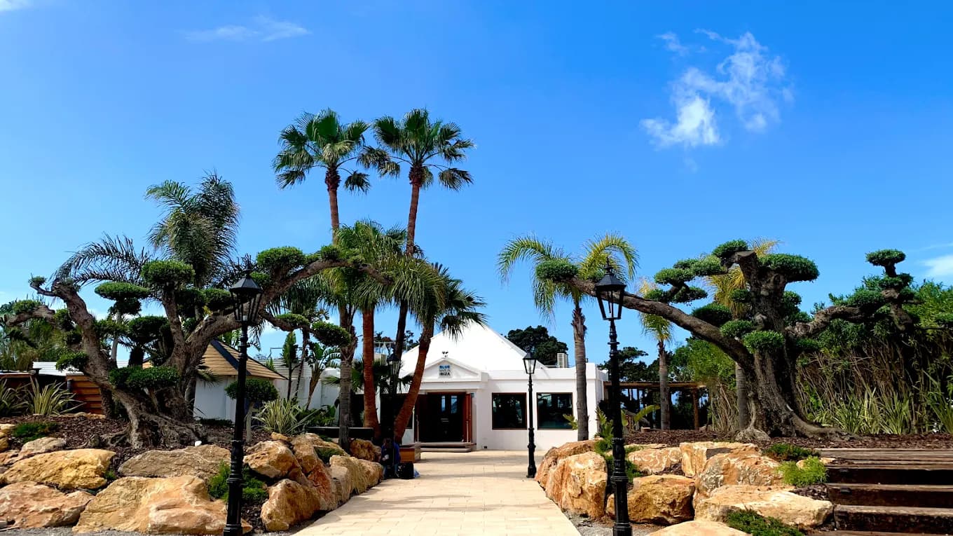 Blue Marlin Ibiza