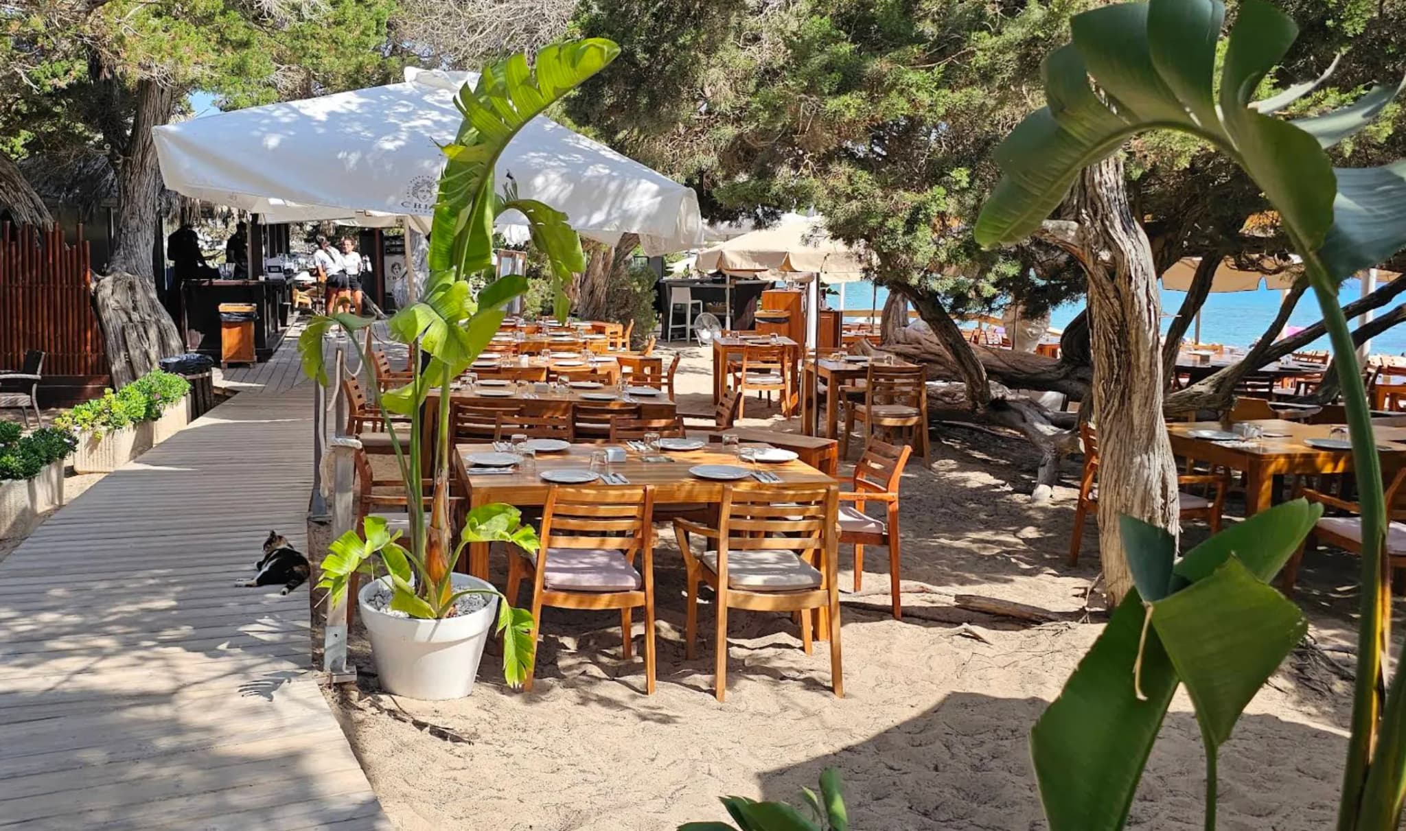 Cala Bassa Beach Club (CBbC) - Photo 3