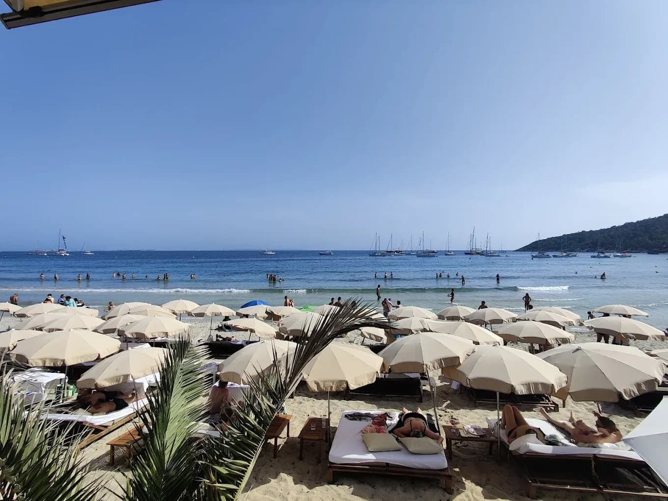 NoHo Beach Club