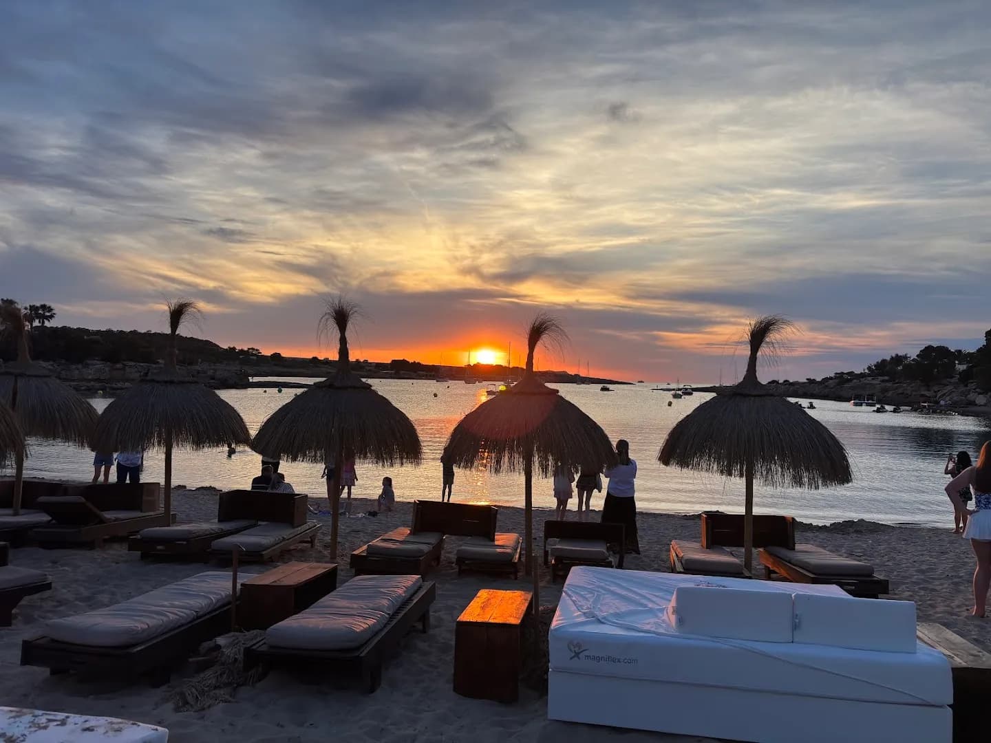 Tigre Morado Ibiza - Photo 5