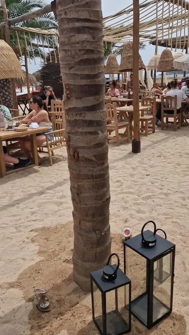 Zazú Ibiza - Photo 2