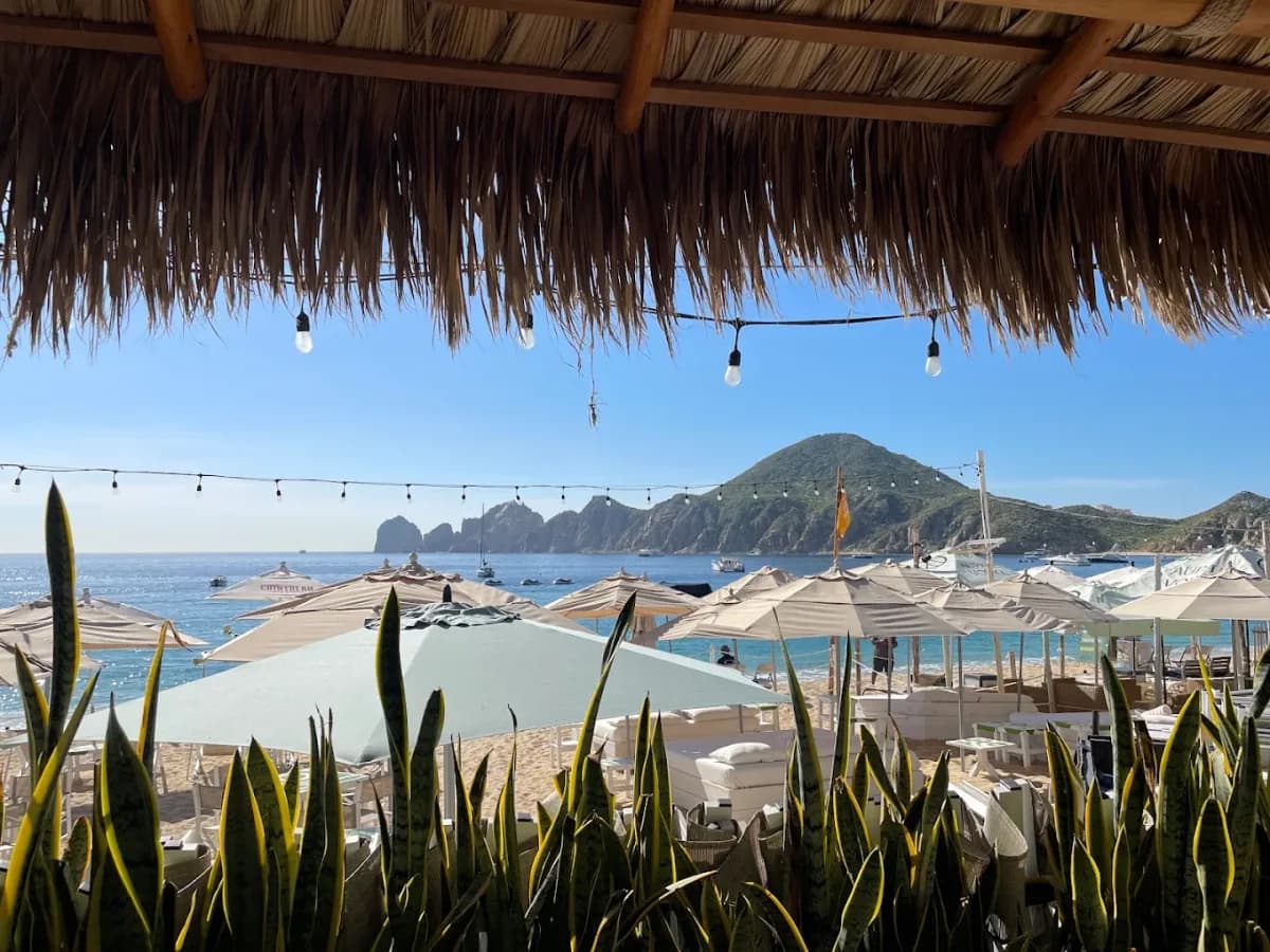 Beach clubs in Los Cabos