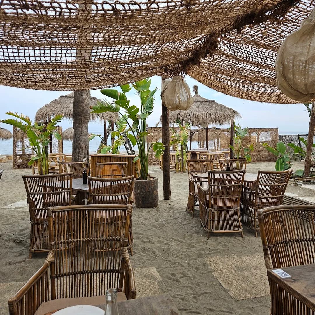 La Palapa Beach Jazba - Photo 3