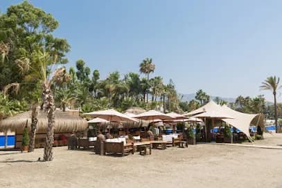 Trocadero Petit Playa