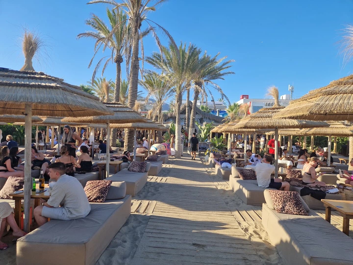 Playa Padre: Beach club & restaurant - Photo 3