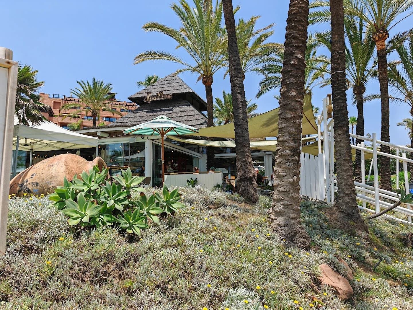 Spiler Beach Club Estepona - Marbella - Photo 4