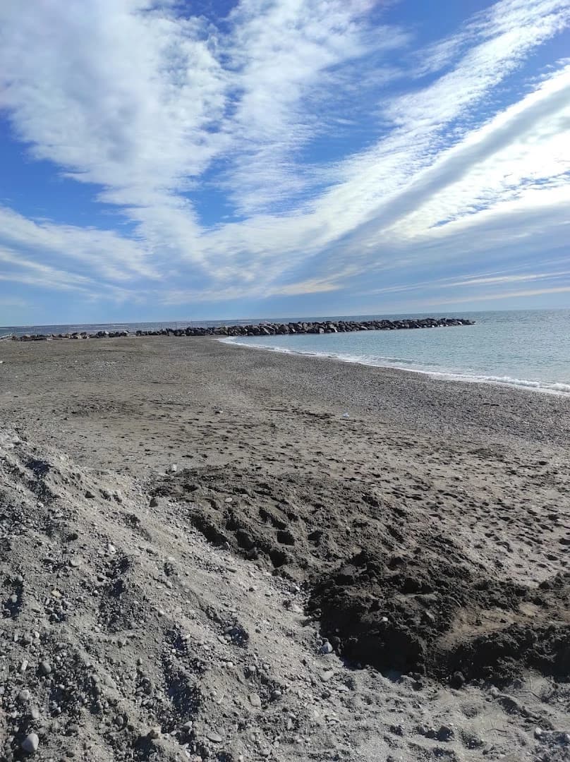 BADÍA BEACH CLUB & RESTAURANT - Photo 4