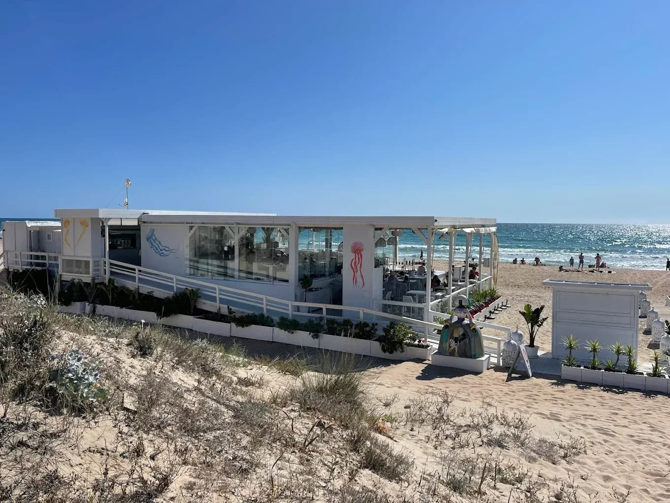 Restaurante Coconovo Beach