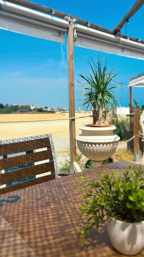 Moana Beach Club - Photo 4