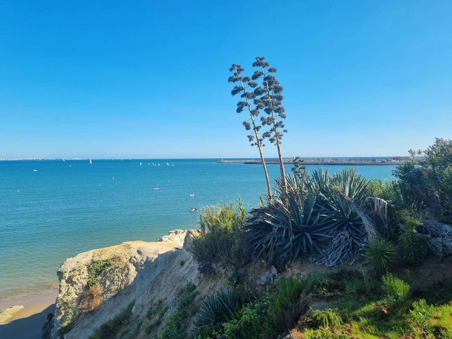 Atolón Beach Club - Photo 5