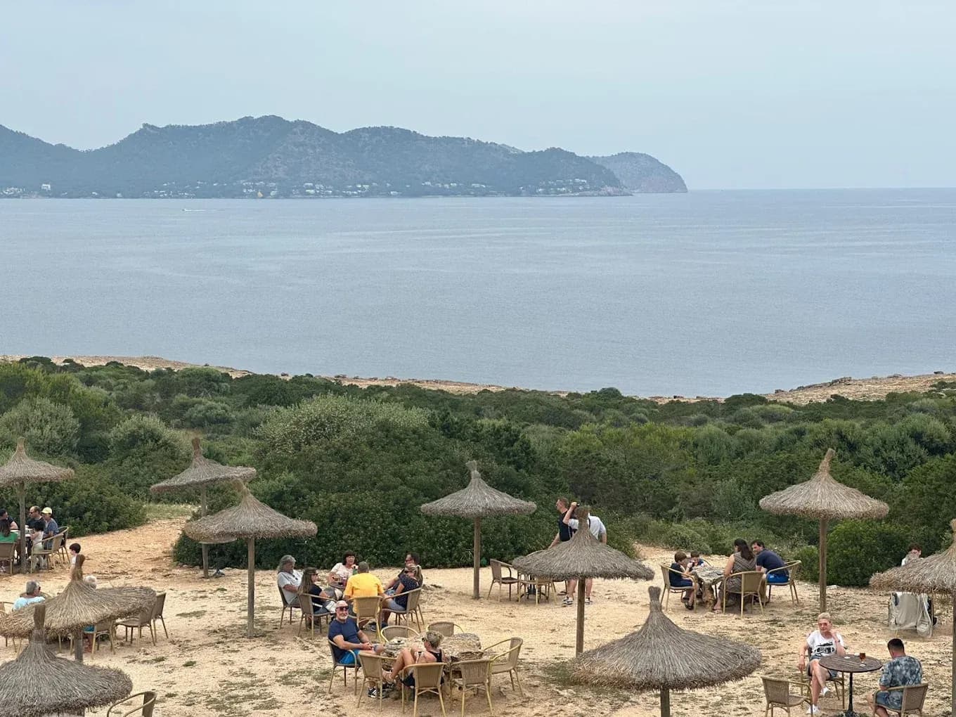 Beach clubs in Sa Coma
