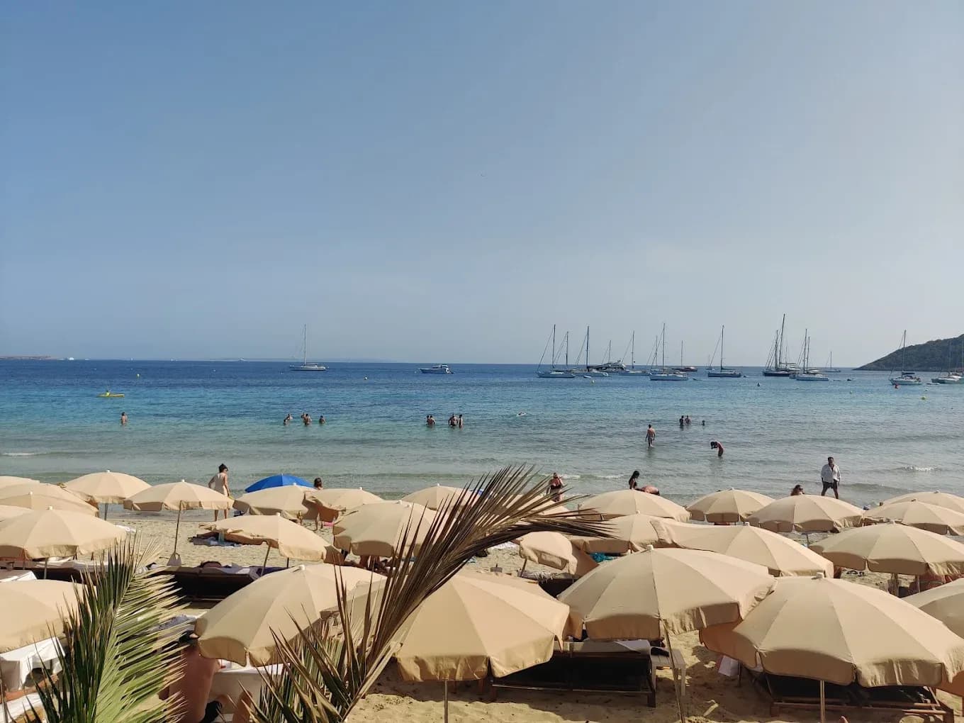 NoHo Beach Club