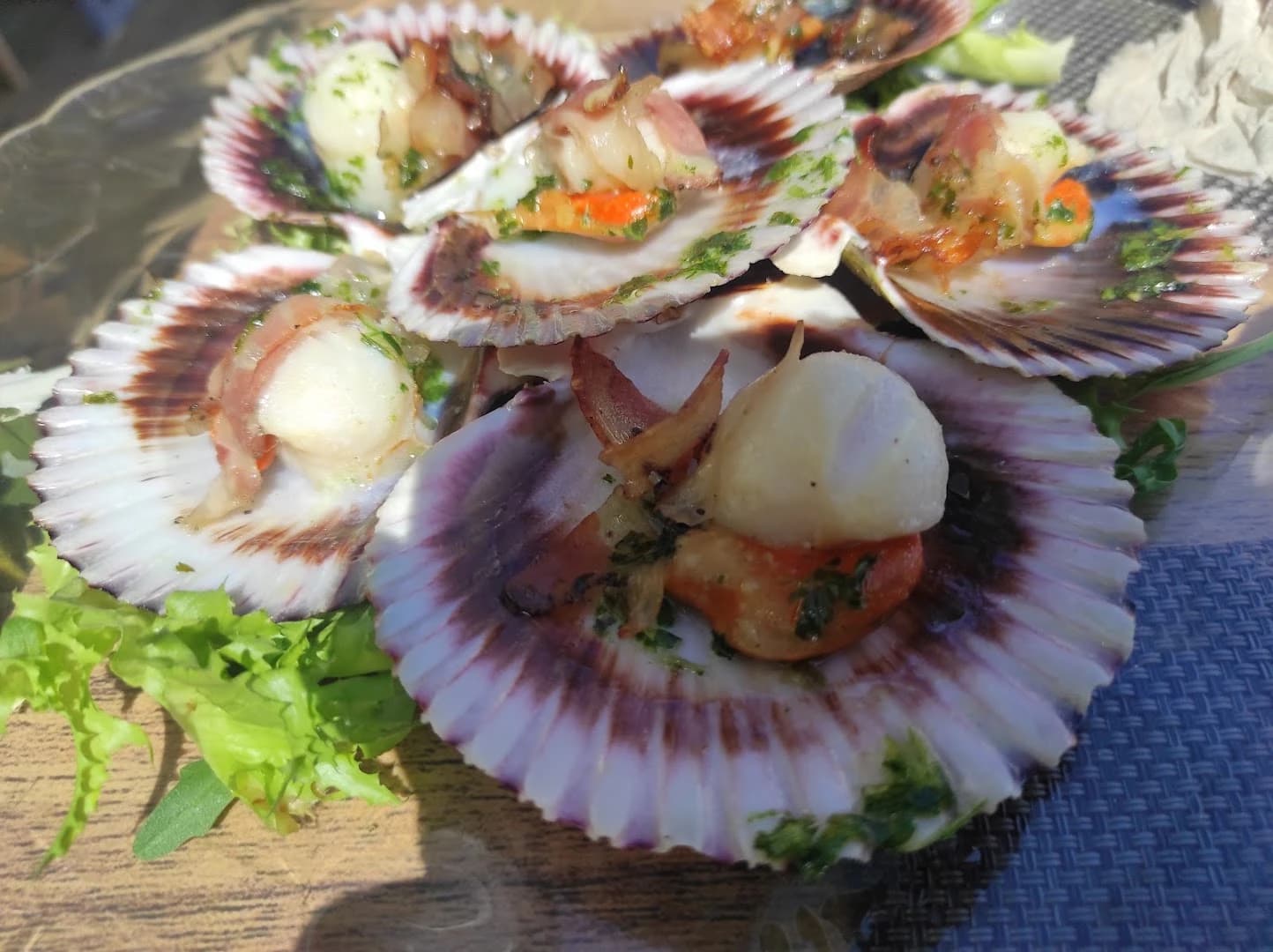 Mío Beach Club Restaurant - Photo 5