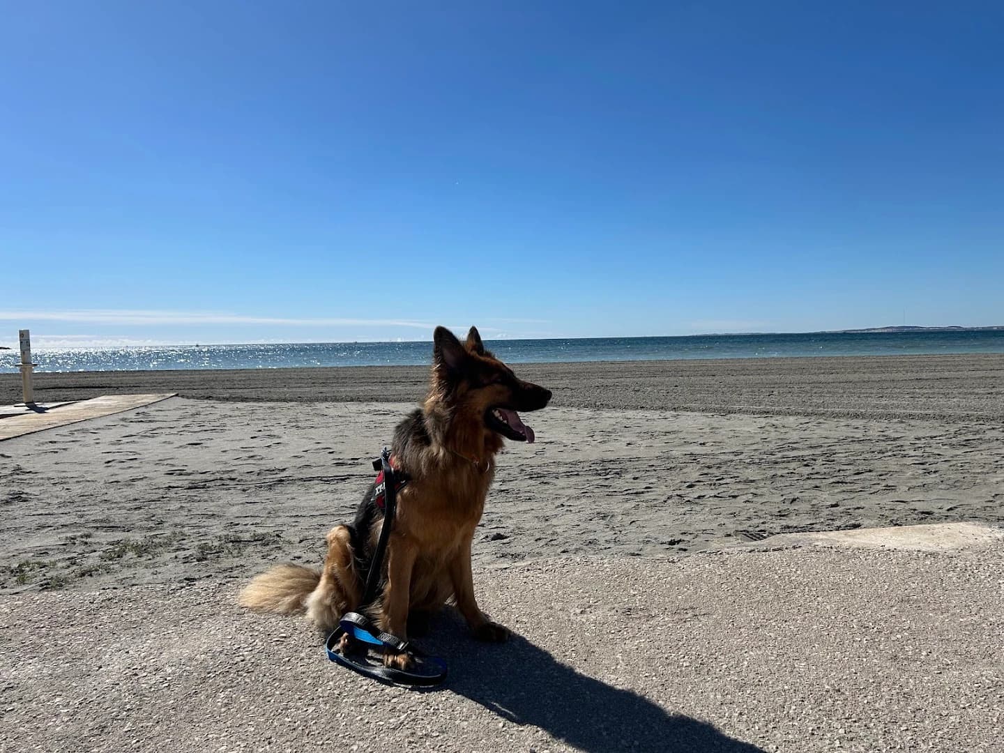 Oasis beach club Santa pola - Photo 5