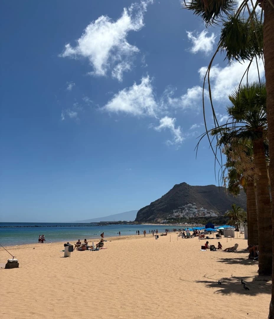 El Caracol Beach Club - Photo 5