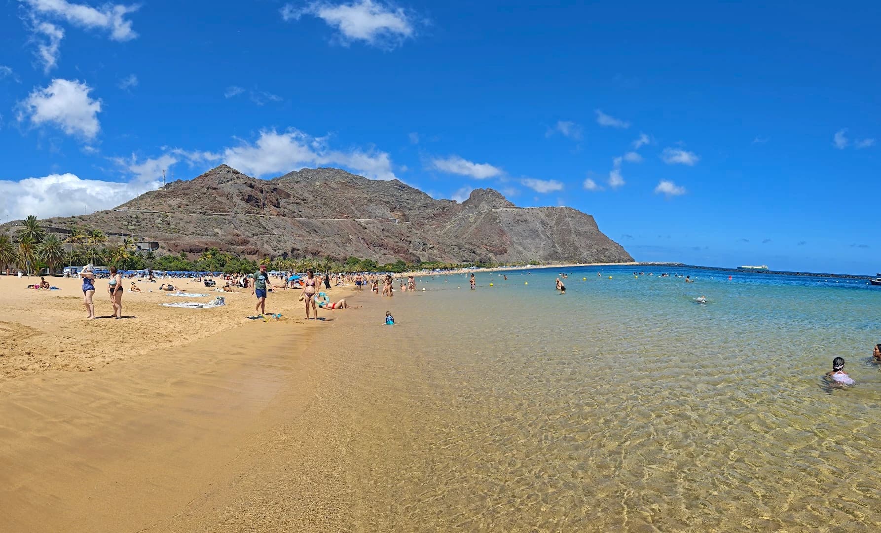 La Isla Beach Club Playa de Las Teresitas - Photo 4