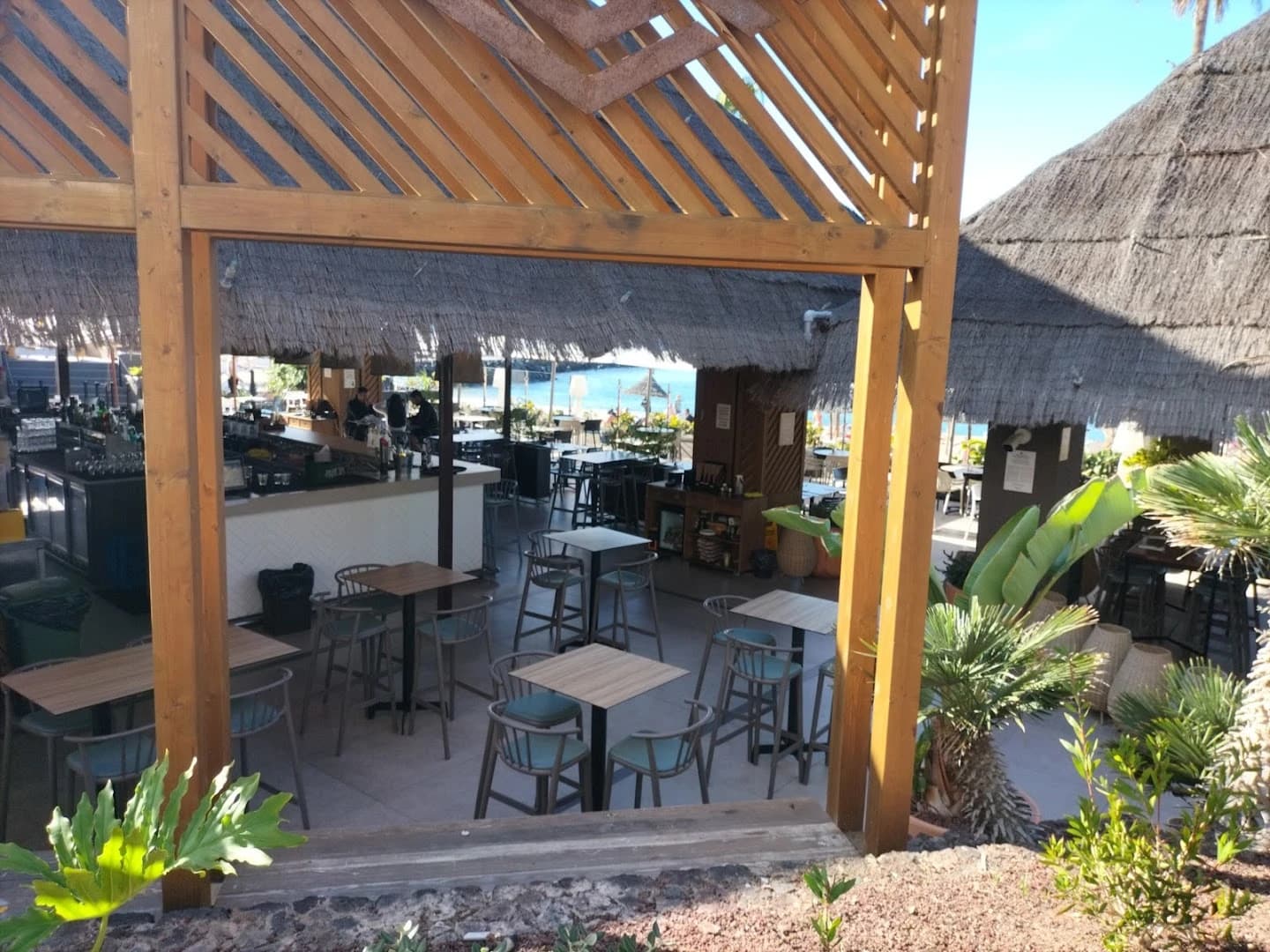 Palapa Beach Club - Photo 3