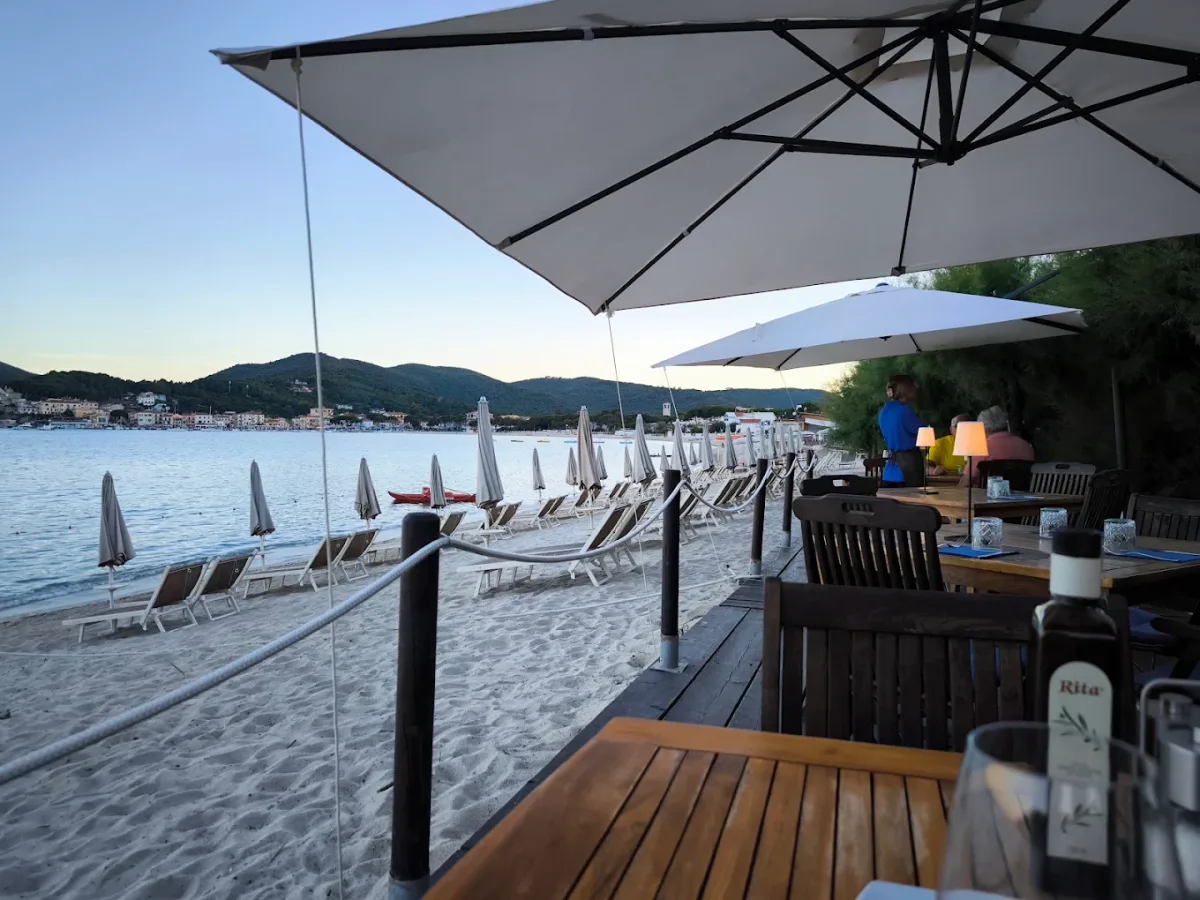 Equipped beach and pine grove at Paglicce Beach, Marina di Campo