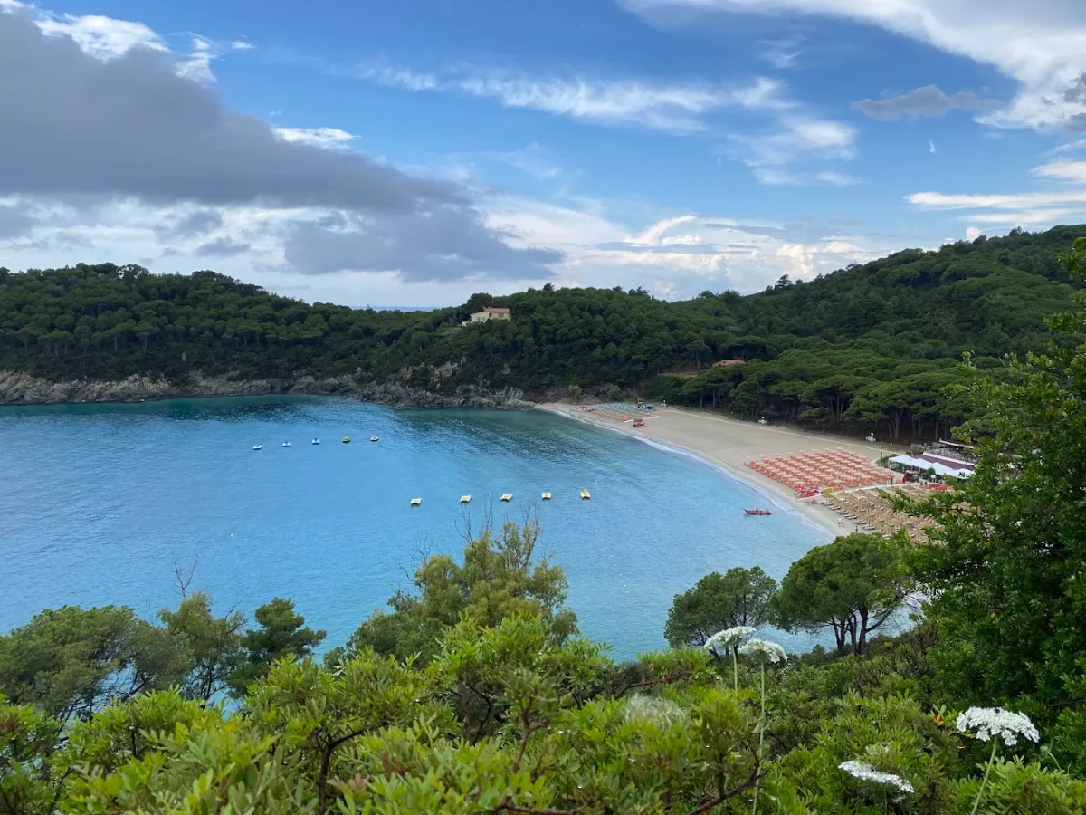 Golden sand cove at Pino Solitario, Fetovaia