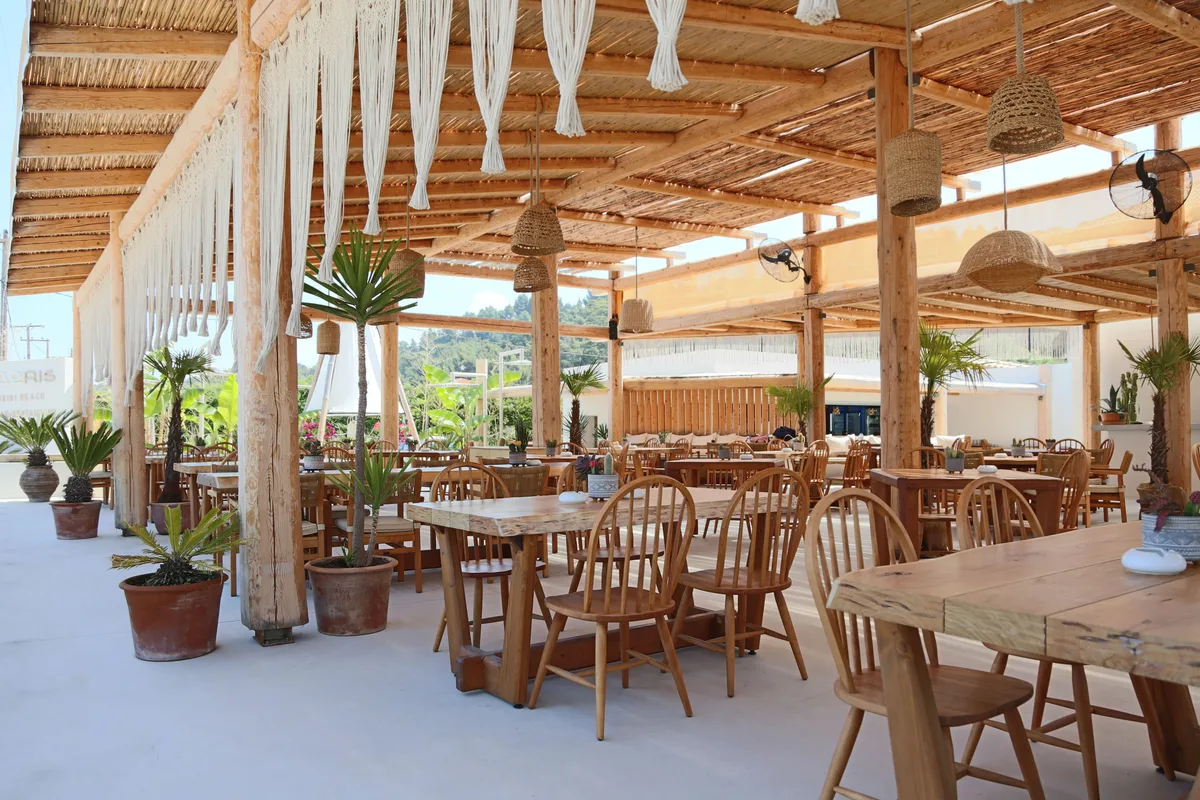 Blue Flag beach with pines reaching the sea at Kohi Beach Bar, Porto Carras