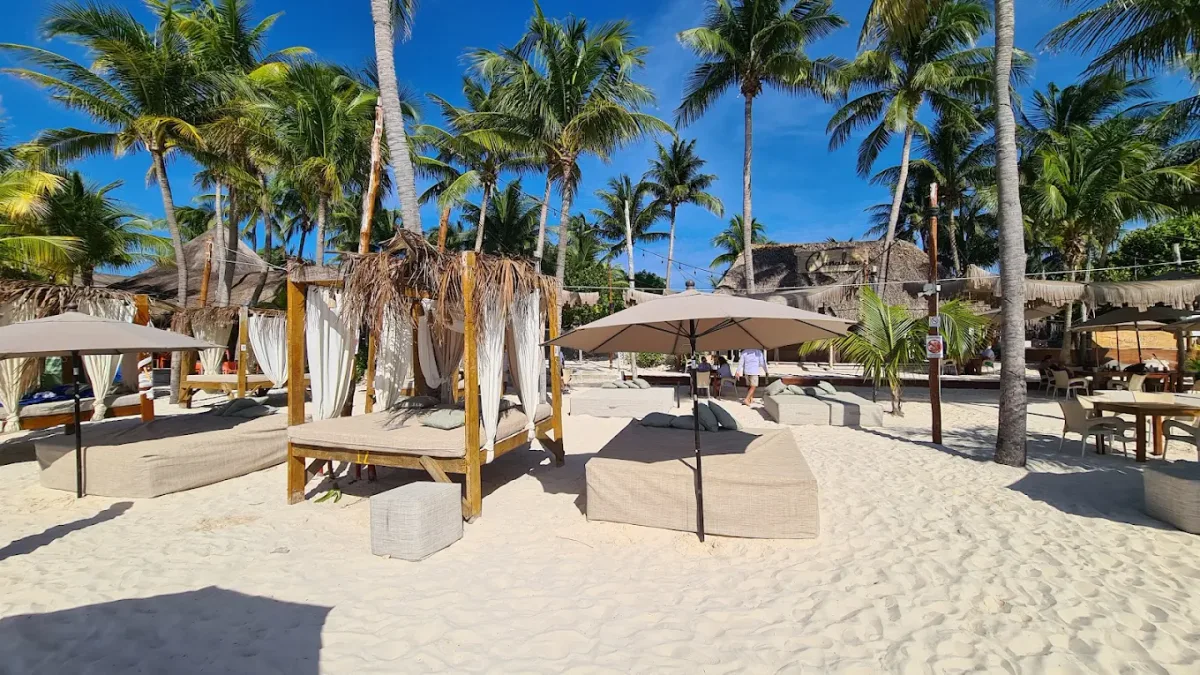 Beachfront loungers and a bar on the sand at Canabar Beach Club, Playa Norte