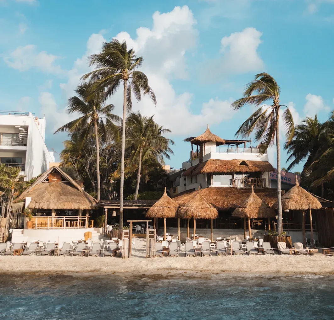 Beachfront sunbeds and dining tables at Lido Cocina de Playa, between Calle 10 and 12