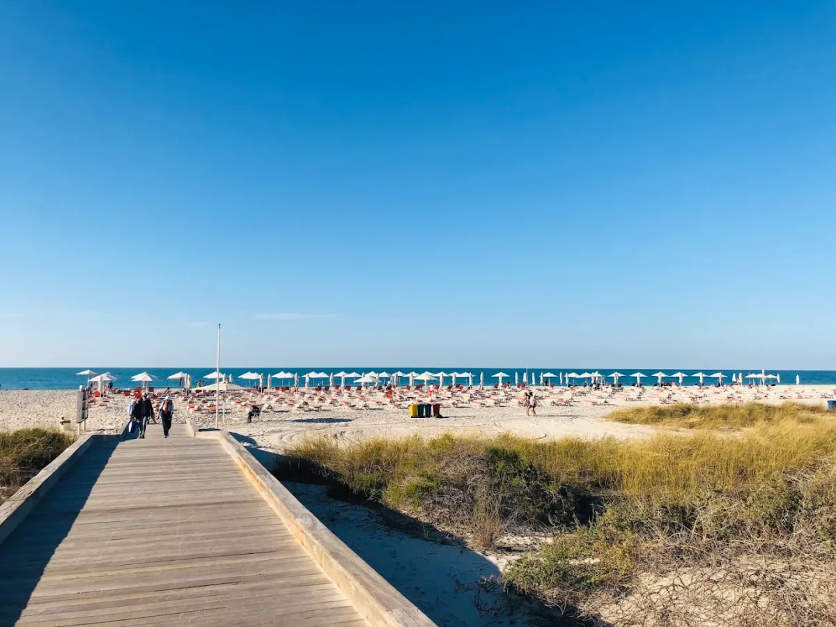 Shaded loungers and lap pool at Kai Beach, Saadiyat Beach