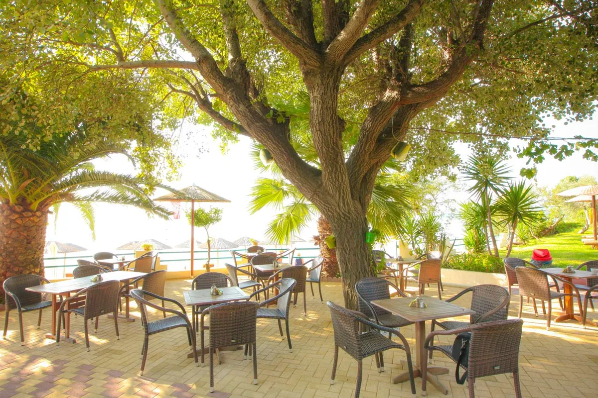 Shaded sunbeds under quince and poplar trees at Swell Beach Bar, Megali Ammos