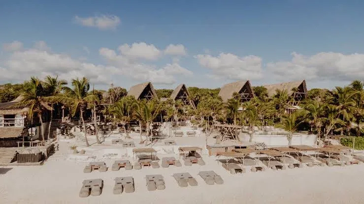 Palm-lined beach and daybeds at Papaya Playa Project, Zona Hotelera